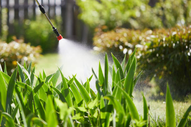 24/7 Emergency Cockroach Control experts in Encinitas, CA