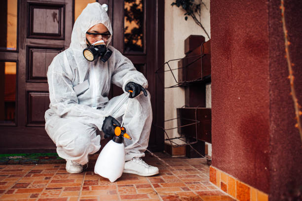 Reliable Cockroach Control contractor in Encinitas, CA by Nex Pest Control